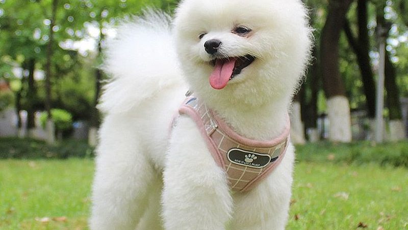 冷库建造：如何避免走进这些常见误区**